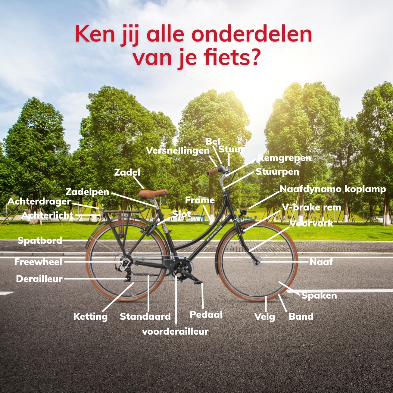 Onderdelen van een fiets infographic