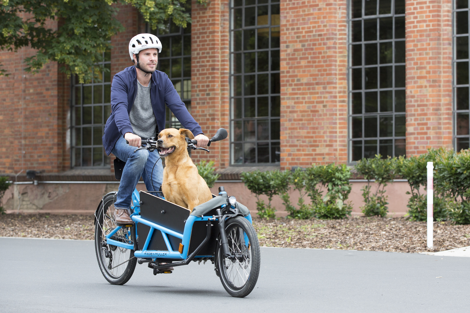 AIDS Wonder banner 3 manieren om je hond mee te nemen op de fiets | Fietsen De Geus