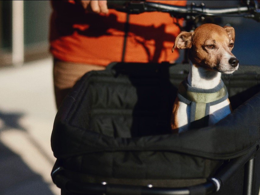 Yoonit Dog Seat hondenmandje