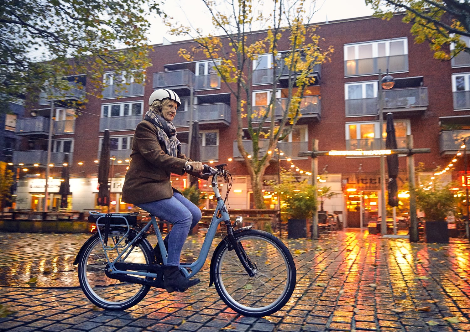 Elektrische fiets ouderen senioren