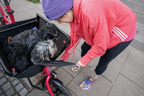 Nieuw! Muli introduceert hondenkussen en transportmat als accessoires voor hun bakfiets