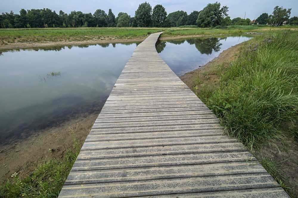 Landschapspark Frijthout Hove